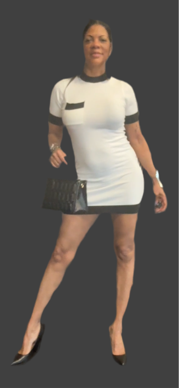 Women Casual Pencil Dress