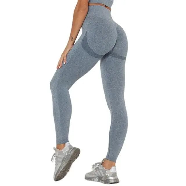 Women High Waist Seamless Fitness Yoga Gym leggings Activewear Alpha C Apparel 03 Tights Gray blue / L / United States