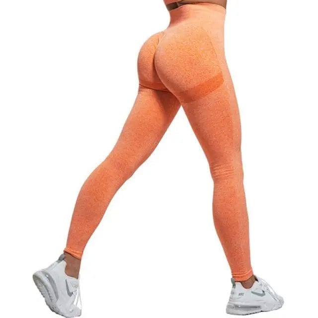 Women High Waist Seamless Fitness Yoga Gym leggings Activewear Alpha C Apparel 03 Tights Orange / S / United States