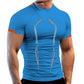 Alpha C Men Summer Sport Quick Dry Running Men Workout T Shirts Alpha C Apparel blue / S