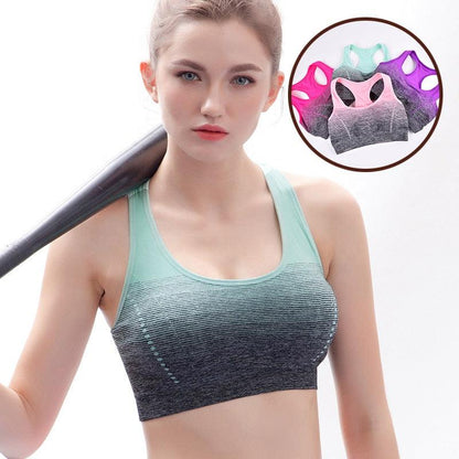 High Stretch Breathable Top Fitness Women Padded Yoga Gym Seamless Crop Top Alpha C Apparel