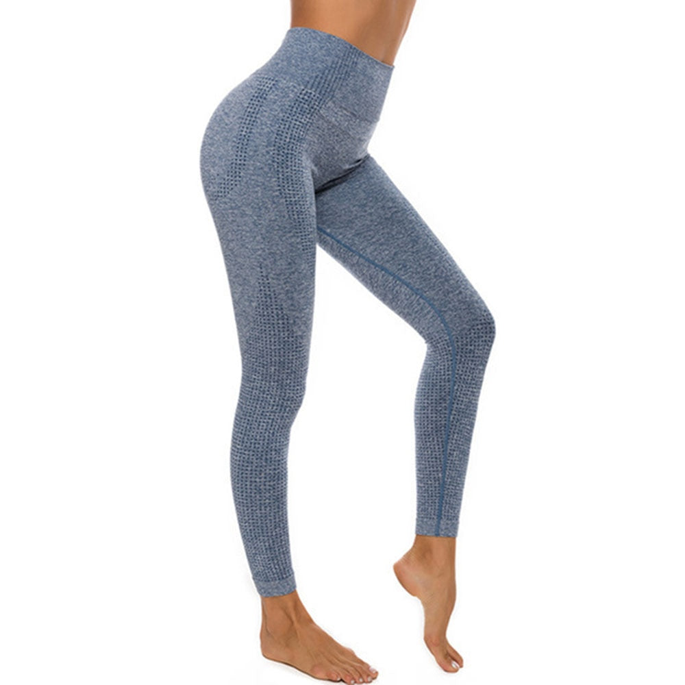 Fitness Running Yoga Pants leggings Alpha C Apparel 01 Leggings Gray Blue / L
