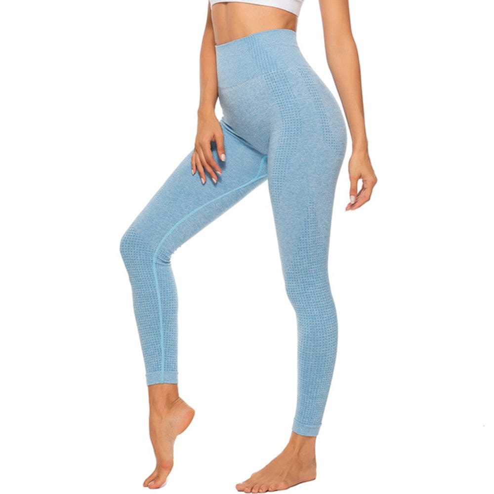 Fitness Running Yoga Pants leggings Alpha C Apparel 01 Leggings Sky Blue / S