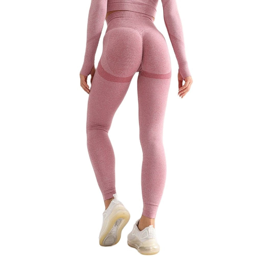 Fitness Running Yoga Pants leggings Alpha C Apparel 03 Tights Dark pink / M