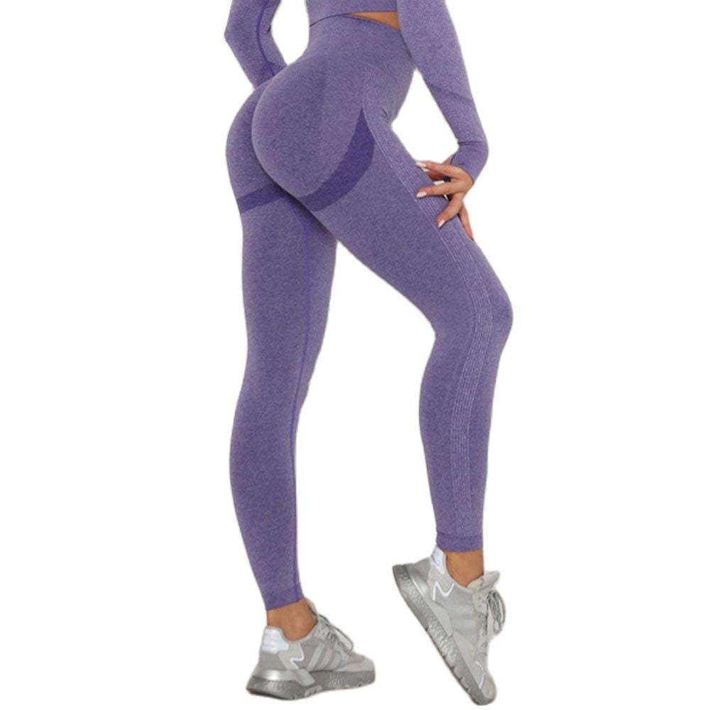 Fitness Running Yoga Pants leggings Alpha C Apparel 03 Tights Purple / M