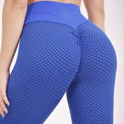 Alpha Women Gym Fitness Scrunch Butt Yoga Leggings Alpha C Apparel M / Blue