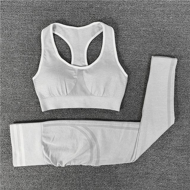 Seamless Yoga Crop top Bra Legging Sport Wear for Women Alpha C Apparel M / gray