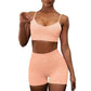 Women High Waist Fitness Gym Wear Workout Suit Sport Bra And Shorts Yoga Set Alpha C Apparel M / pink