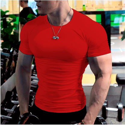 Summer Short Sleeve Fitness T Shirt Running Sport Gym Muscle T-shirts Oversized Workout Casual Shirt Alpha C Apparel red / S