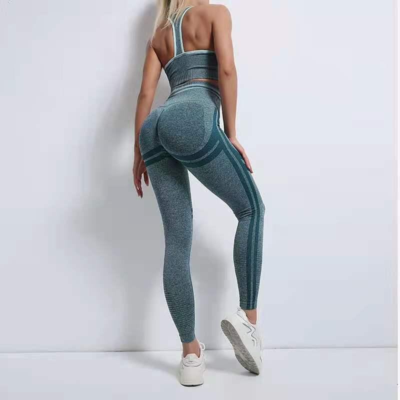 Seamless Yoga Crop top Bra Legging Sport Wear for Women Alpha C Apparel S / dark green