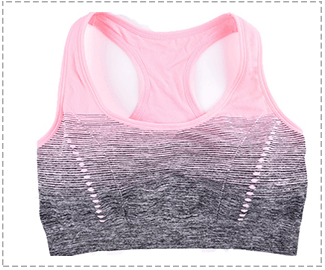 High Stretch Breathable Top Fitness Women Padded Yoga Gym Seamless Crop Top Alpha C Apparel XL / Pink