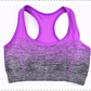 High Stretch Breathable Top Fitness Women Padded Yoga Gym Seamless Crop Top Alpha C Apparel XL / Purple