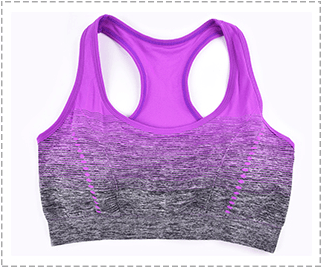 High Stretch Breathable Top Fitness Women Padded Yoga Gym Seamless Crop Top Alpha C Apparel XL / Purple