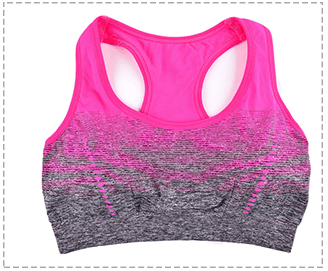 High Stretch Breathable Top Fitness Women Padded Yoga Gym Seamless Crop Top Alpha C Apparel XL / Rose Red