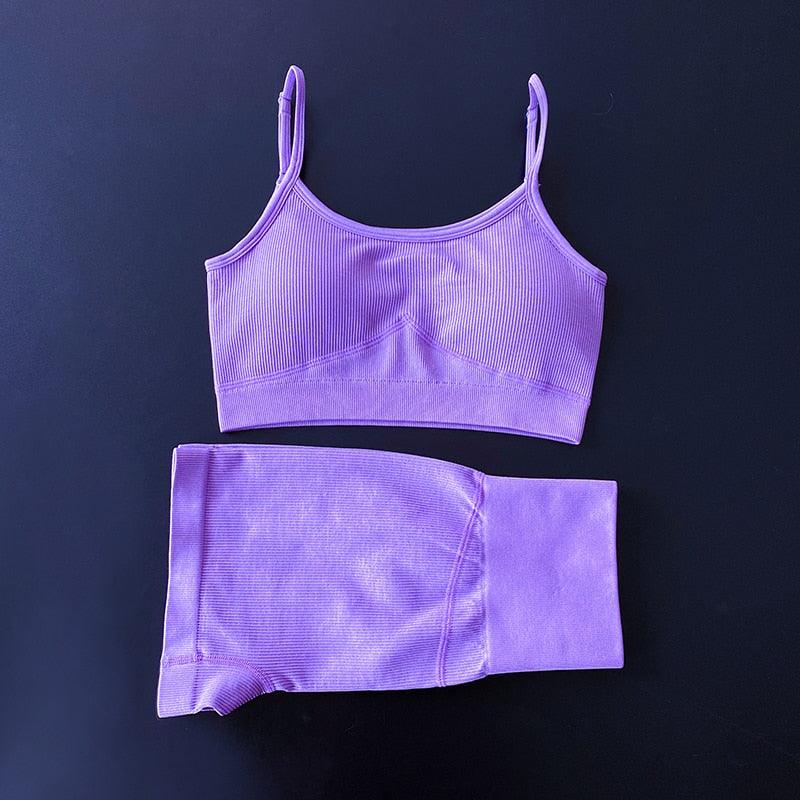Alpha C Apparel Women Seamless 2 Piece Yoga Set Women Gym Clothes Sports Bra+Shorts Set dsers Purple set / S