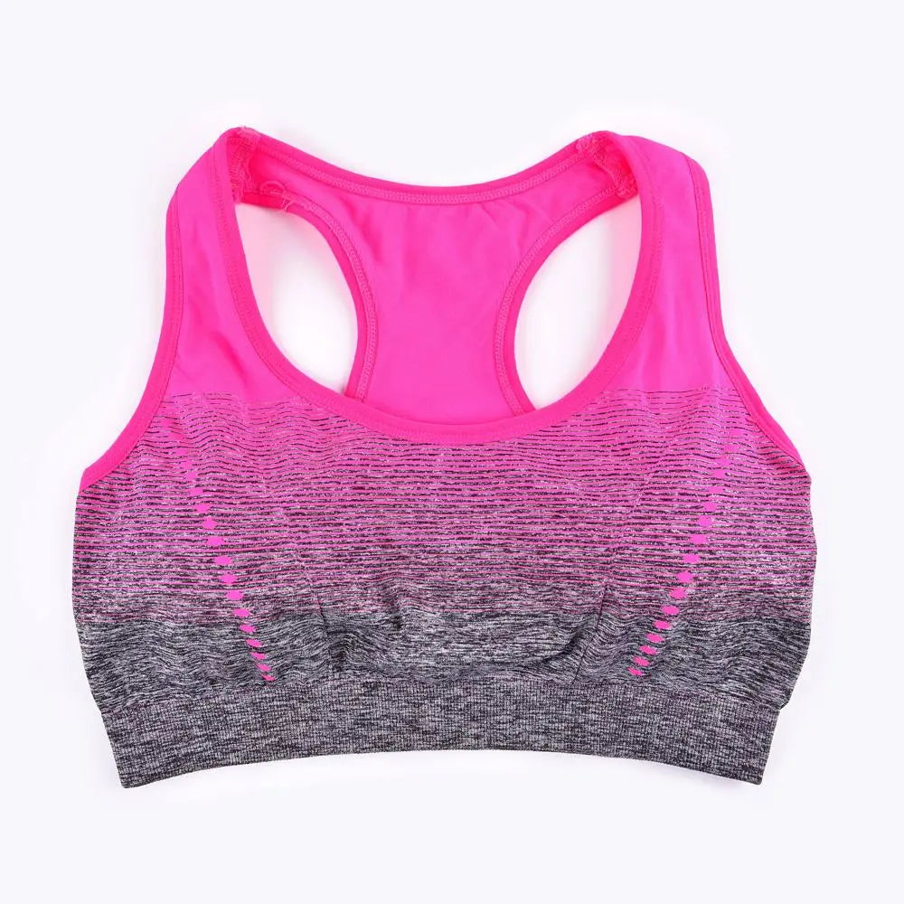 Alpha C Apparel Sports Bra High Stretch Breathable Top Fitness Women Padded for Running Yoga Gym Seamless Crop Bra Gradient 0 https://www.aliexpress.us/item/3256805534443827.html?gatewayAdapt=glo2usa RoseRed / S / 30